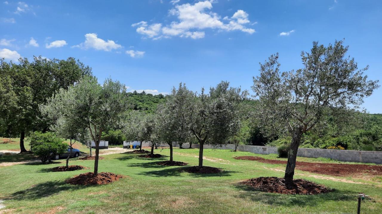 Casa Grazia Villa Rovinj Eksteriør bilde